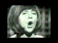 Cilla Black : You're My World : live TV performance May 1964