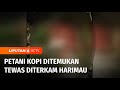 Petani Kopi di Lampung Barat Tewas Diterkam Harimau | Liputan 6