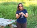How to organically control tomato blight