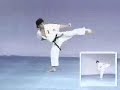 image Kyokushinkai Karate Kata Kanku