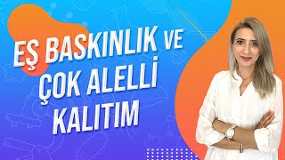 (37.DERS) EŞ BASKINLIK VE ÇOK ALELLİ KALITIM | TYT 10.SINIF l Seda Hoca Biyoloji