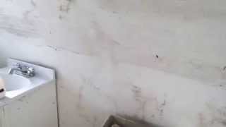 Black Mold Remediation in Oakbrook, IL Basement