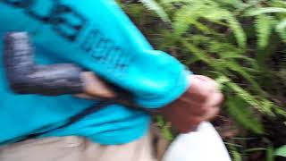 EXPEDISI EXTREME KAKI SANG PEMBURU GAHARU