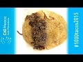 Tacos de cabeza de res horneada