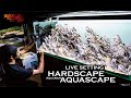 Hardscape layout for aquarium 120 l Rasio zx 2018