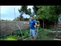How to Build Tomato String Trellis Vertical Gardening with California Gardener