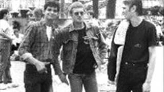 Watch Newtown Neurotics Sects video