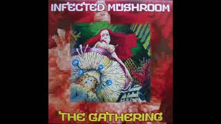 Watch Infected Mushroom The Gathering video