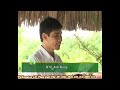Tạo hình nghệ thuật cho cây cảnh- P6/6* alomua.vn, huongsacdatviet.com