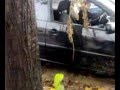 I posteggi dell'insubria quando piove (inconcepibile)