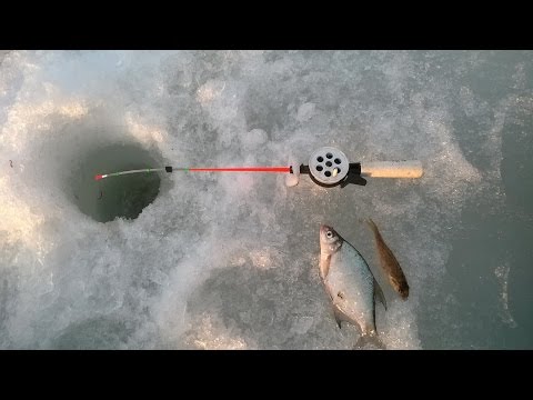 подводная камера для рыбалки щука подводная камера для рыбалки щука