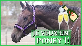 COMMENT CONVAINCRE SES PARENTS D'AVOIR UN CHEVAL ?! - Je te dis comment faire ! 👀
