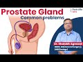✅ Prostate Gland and Urinary Problems Home Remedies | ✅ Prostate Gland Problems Symptoms & Treatment