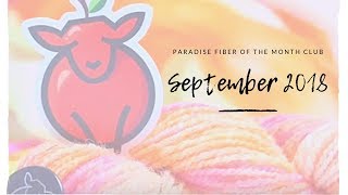 Back to School!: Paradise Fiber of The Month Club Unboxing