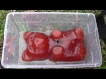 Liquid Nitrogen Cooled Gummy Bear vs. 12 Gauge