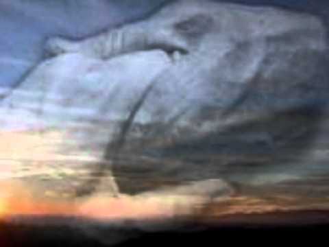 Lead Me Video