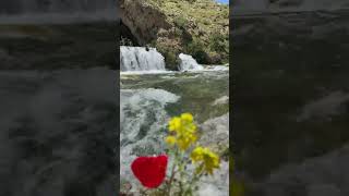 Van Bahçesaray Subaşı