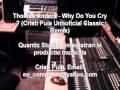 Video Thomas Anders - Why Do You Cry (Cristi Puia Unnoficial Classic remix).wmv