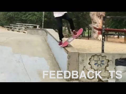 Feedback_TS | Ted Can Finally Skate Again