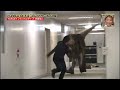 [broma] Japonesa, dinosaurio T-REX.