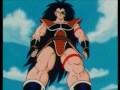 Dragon ball z Paisa
