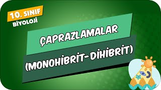 Çaprazlamalar (Monohibrit - Dihibrit) | 10.Sınıf Biyoloji #2024