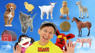 Baby Farm Animals - What Do You See? Song  | Find It Version | Dream English Kids