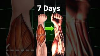 Kalai Kaise Mota Karen? Build Forearms Forearms Workout