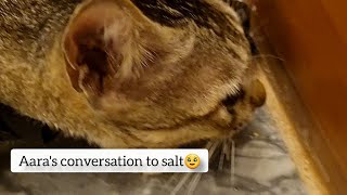 Aara Is Talking To Salt Behind The Door, Really They Are So Lovely & Caring