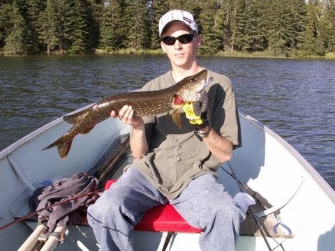 Utah Fishing Report on Minnesota Fishing Trip 2010 Mantrap Lake  Park Rapids  Muskie Pike