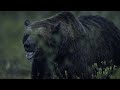 Vincent Munier - Summer Variations - Nikon D3s