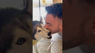 My Husky Loves Kisses