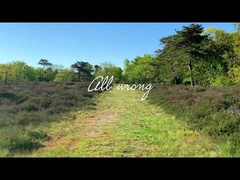 The BlueBirds - Sweet Soil