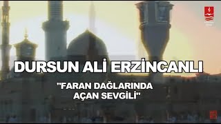 DURSUN ALİ ERZİNCANLI  \