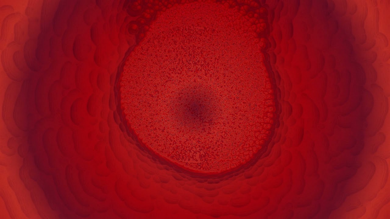 ART 486: TouchDesigner Project
