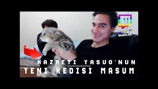 Hazreti̇ Yasuonun Yeni̇ Kedi̇si̇ Masum