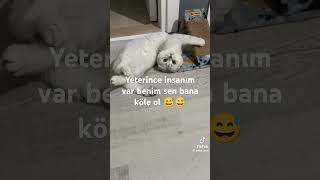 6 Temmuz 2024