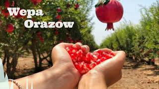 Wepa Orazow-Nara Meni Halk Aýdym