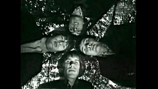 The Troggs - Night Of The Long Grass 1967 (Hd720P)