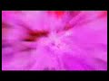 Deep Spirit - lonely.wmv
