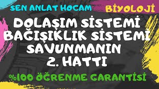 Dolaşim Si̇stemi̇ Konu Anlatimi 15 Bağişiklik Si̇stemi̇ Savunmanın 2. Hattı Ayt Bi̇yoloji̇