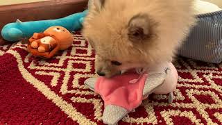 Playtime With Ruby