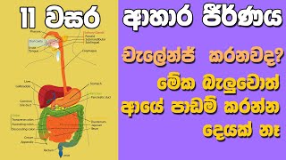 Ol Science Sinhala Grade 11 Science Unit 6 Part 1 Digestive System ආහර ජරණ පදධතය