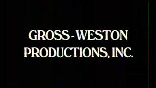 Gross-Weston Productionsdisney Channelb.v.i 1999