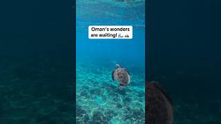 Omans Wonders Are Waiting