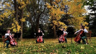 Adelaide Parade (Cricket Blue & Friends Cover Over the Garden Wall)