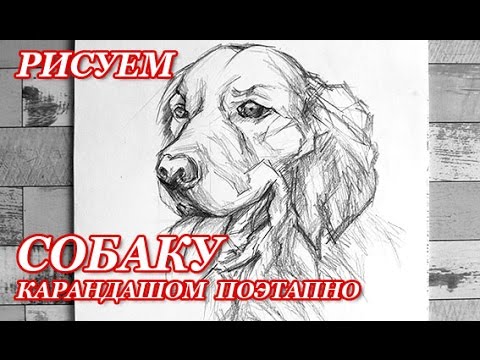 Вязание крючком: араны, жгуты и косы! ВКонтакте Вязание кофт для девочек спицами. Схемы с описанием