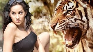 film Roar - Tigers Of The Sunderbans movie mp4