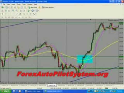 Wealth mentors forex