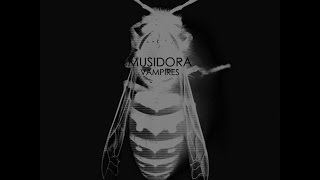 Watch Musidora Vampires Wasp video